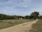 IMG_4775