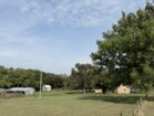 IMG_4778